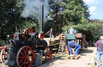 Dampfmaschine Henschel & Sohn von 1924 beim Dreschen auf dem Dampf- und Traktorentreffen - Bild FLMK