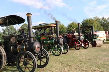 Die Dampfmaschinen Lena von 1905 und 5 t schwer, Lady Colinda von 1925 zum Transport von 60 t, Lady Jane von 1928 und 8,5t schwer zum Transport, Dreschen und Sägen sowie Volund Junior von 1928 mit 7 t Gewicht beim Dampf und Traktorentreffen - Bild FLMK